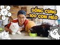 THỬ SỐNG CÙNG 100 CON MÈO (Giáo Sư Chuối)