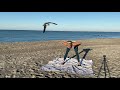 Body Weight Only  Workout at the Beach