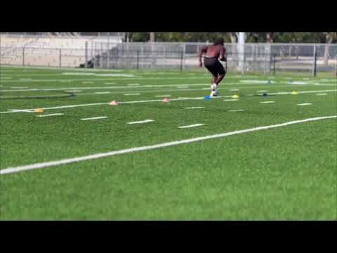 Highlights & Workouts