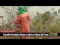 Incendios forestales tienen en alerta a Sabana de Torres Incendios forestales tienen en alerta a Sabana de Torres