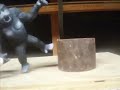 Gorilla Attack