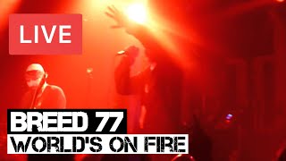 Watch Breed 77 Worlds On Fire video