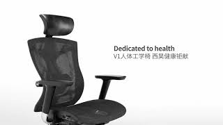 Sihoo V1 Ergonomic Office Chair Home Office Chair Ergonomics Comfortable