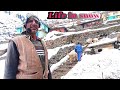 Village life of Jammu kashmir//Life in winter and snow.