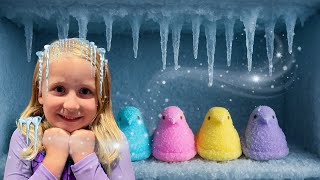 Freeze A Peep? Can You Freeze A Peep? Lets Find Out