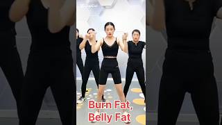 Day 230 Achieve A Flat Belly At Home