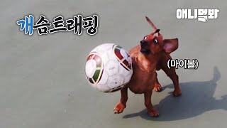 j2Rs46DTEbM Video Image