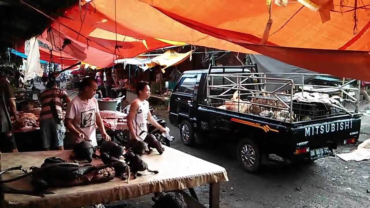 anjing panggang roast food of in tomohon m indonesia anjing panggang roast food of in tomohon m indonesia