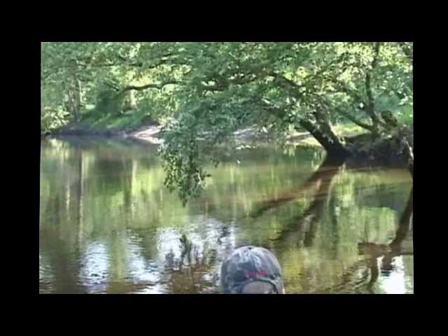 Watch Limb Lining for BIG Catfish on YouTube.