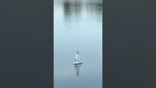 Voyager Remote Controlled Model Sail Boat