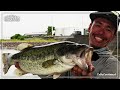 【アフター!?アーリーサマー?!】初夏のタイダルリバー旧吉野川 BASSBOK FILMS 鈴木裕介 #バス釣り #旧吉野川