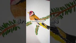Reversed Drawing Part 4 - Lycreates