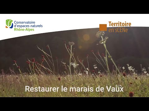 Restaurer le Marais de Vaux