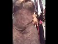 كيك بنات الامارات