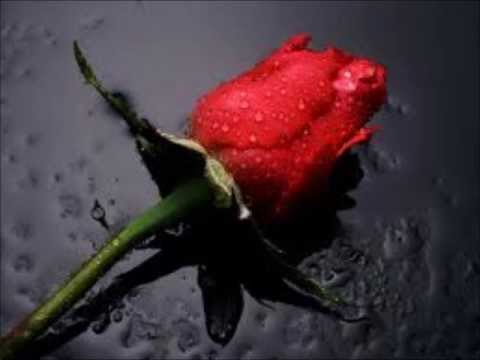 Yeh Haseen Vaadiyaan by Kusal