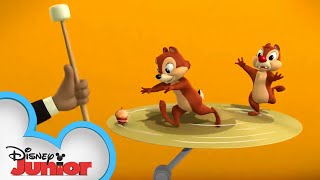 Musical Bowls Of Nuts Chip N Dales Nutty Tales Disney Junior