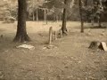 Cemetery