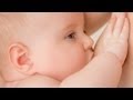 Inverted, Flat or Very Large Nipples | Breastfeeding