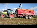 ensilage