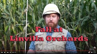Colt Sebastian Taylor Talks Fall at Linvilla Orchards