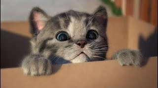 Kid's Games: My Favorite Cat Little Kitten Pet Care - Baby Play Original and Lovely Kitten Kids Gam
