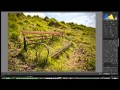 Adobe Lightroom photo editing basics tutorial