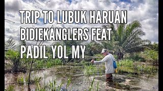 Casting Di Lubuk Haruan Frenzy Sri Aman Lubuk Janda Bergetah