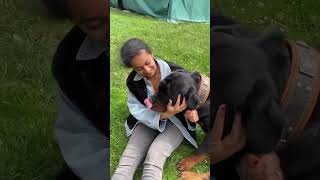 Rottweiler Kiss Attack