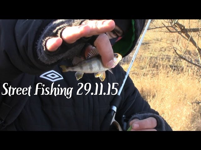 Street Fishing 29.11.15