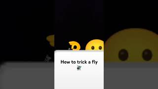 How To Frick A Fly