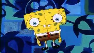 Que Bob, Que Calça? Theme Whobob Whatpants