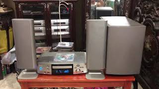 Denon S301