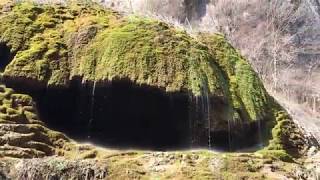 Арцах Զոնտիկներ