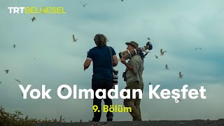 Yok Olmadan Keşfet Van Gölü Havzası Trt Belgesel