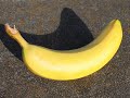 Banana Phone