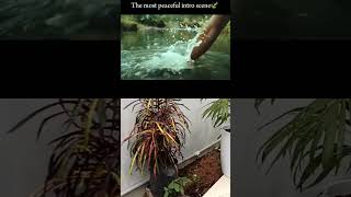 Most Unique Intro Scenereally Love It