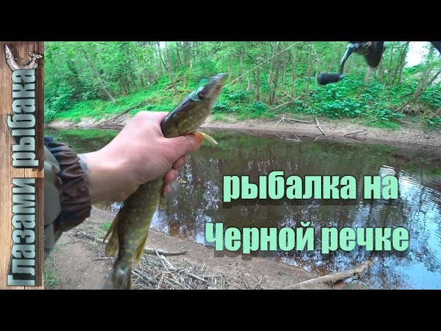 Черная речка