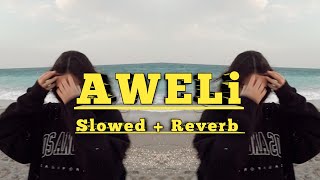 Anka - Aweli ( Tiktok Version ) Slowed + Reverb  [ DSR MUSIC  ] #anka #aweli #ar