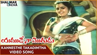 Yamude Naa Mogudu Movie Kannesthe Takadimtha Video Song Parthiban, Seetha Shalimarcinema