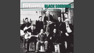 Watch Black Sorrows Carried By The Light video