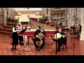 Bach Sonata in E Minor, Gigue; Natalie Carducci, baroque violin