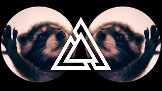 Raffaella Carra x Jaxomy & Agatino Romero - Pedro (Techno Extended Remix) TikTok Raccoon Dance Song
