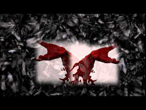 Krank Video