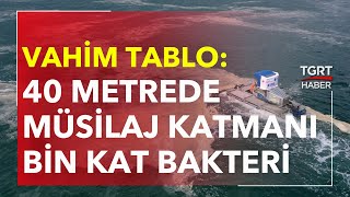 Vahim Tablo 40 Metrede Müsilaj Katmanı, Bin Kat Bakteri - Tgrt Haber