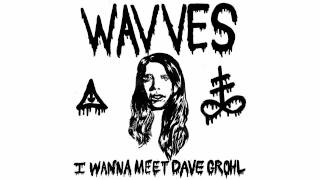 Watch Wavves I Wanna Meet Dave Grohl video