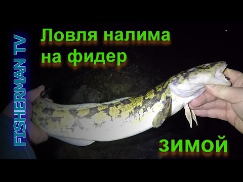 рыбалка на налима на в москве рыбалка на налима на в москве