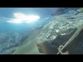 Stranded Deep - Bölüm 2 - Köpekbalığı vs IsmetRG