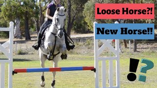 Showjumping Lesson || Vlog