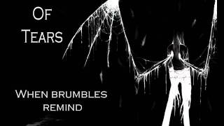 Watch Shroud Of Tears When Brumbles Remind video