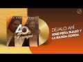 DÉJALO Ahí ✋ - José Peña Suazo y La Banda Gorda [Audio Cover] 🥳 #40